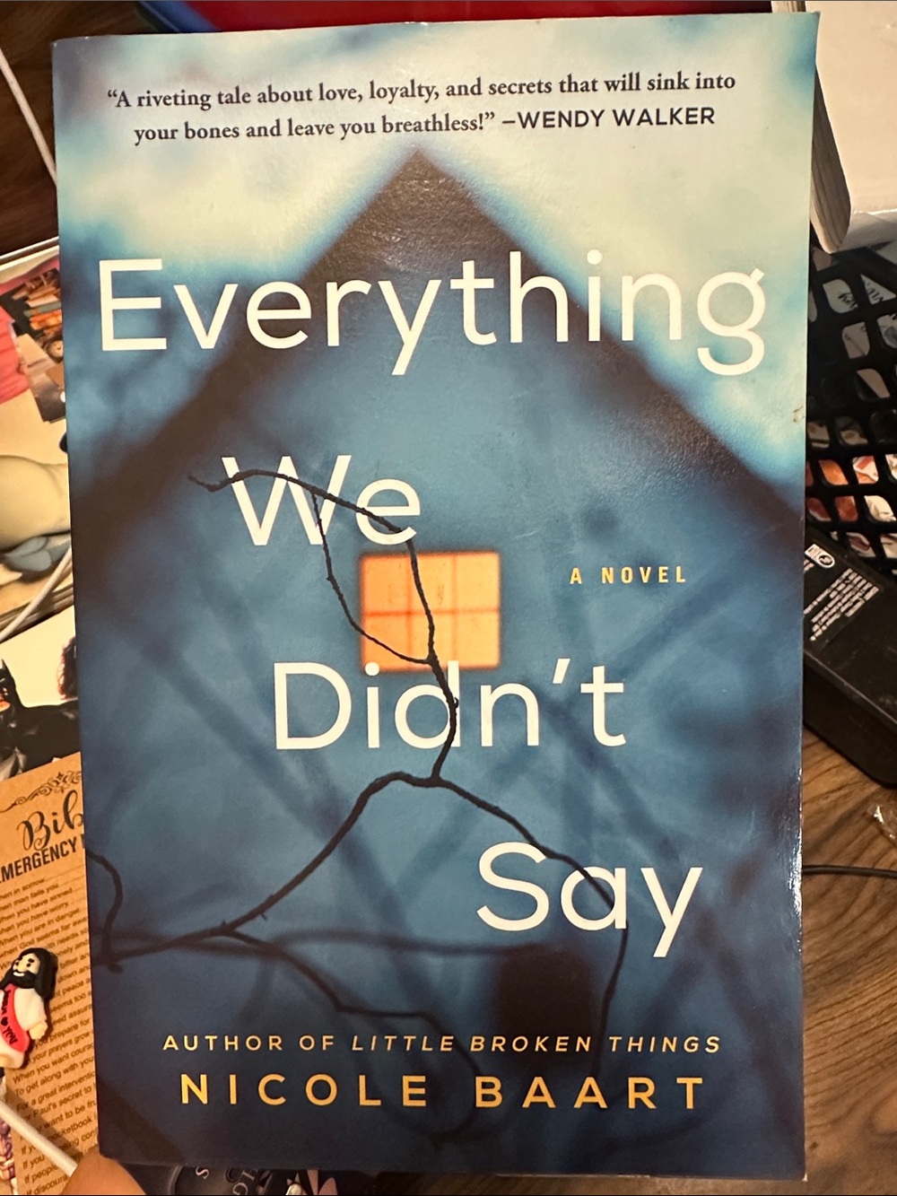 Everything We Didn't Say by Nicole Baart - Blue Paperback Novel